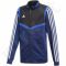 Bliuzonas futbolininkui Adidas Tiro 19 Pes JKT Junior DT5790