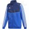 Bliuzonas futbolininkui Adidas Tiro 19 PRE JKT Junior DT5268