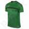 Marškinėliai futbolui Nike ACADEMY16 M 725932-302
