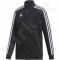 Bliuzonas Adidas Tiro 19 Training JKT JR DT5276