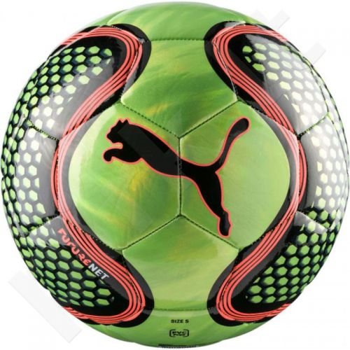Futbolo kamuolys Puma Future Net 082915-01
