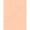 L´Oréal Paris True Match, maskuoklis moterims, 6,8ml, (2.N Vanilla)