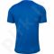 Marškinėliai futbolui Nike Striped Division II M 725893-463