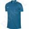 Marškinėliai futbolui Nike Dry Academy 17 Junior 832969-457