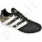 Futbolo bateliai Adidas  ACE 16.3 IN Leather M S76563