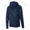 Bliuzonas  Adidas Essentials Linear Pullover Hood French Terry M B45730