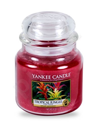 Yankee Candle Tropical Jungle, aromatizuota žvakė moterims ir vyrams, 411g
