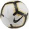 Futbolo kamuolys Nike Strike SC3310-102