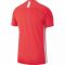 Marškinėliai futbolui Nike Dry Academy 19 Top SS M AJ9088-671