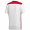 Marškinėliai futbolui Adidas Regista 18 Jersey M CE8969