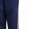 Sportinės kelnės futbolininkams Adidas Tiro 19 Woven Pant Junior DT5781