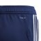 Sportinės kelnės futbolininkams Adidas Tiro 19 Training Junior DT5177