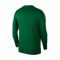 Bliuzonas futbolininkui  Nike Y Dry Park 18 Crew Top Junior AA2089-302
