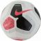 Futbolo kamuolys Nike PL Strike FA19 SC3552 101