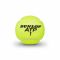 Lauko teniso kamuoliukai ATP CHAMPIONSHIP 4-tube