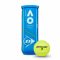 Lauko teniso kamuoliukai AUSTRALIAN OPEN 3 tube