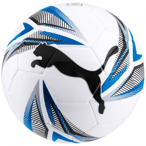 Futbolo kamuolys Puma Cat Ball 0832920 2