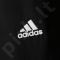 Sportinės kelnės Adidas Essentials Stanford Basic M AA1665