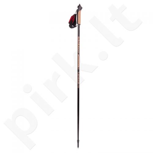 Šiaurietiško ėjimo lazdos Viking Paras 110 cm 660/16/2121/09