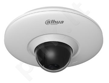 IP network camera PT DOME  4300FPT