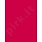 Rimmel London Moisture Renew, Sheer & Shine, lūpdažis moterims, 4g, (300 Pink Rules)