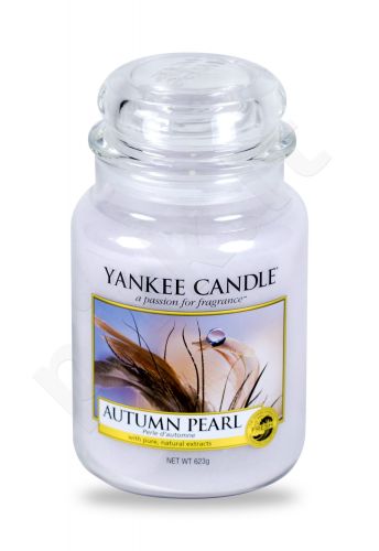 Yankee Candle Autumn Pearl, aromatizuota žvakė moterims ir vyrams, 623g