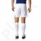 Šortai futbolininkams Adidas Tastigo 17 M BJ9127