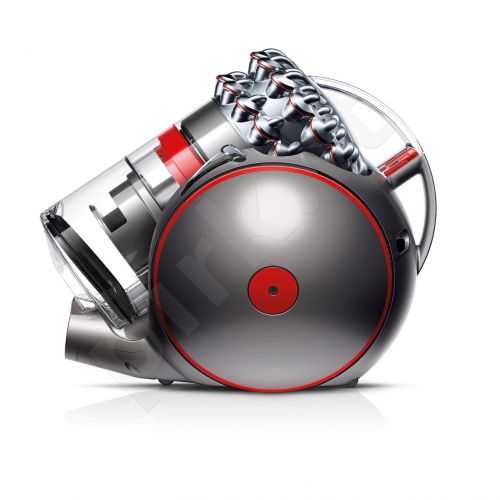 DYSON Cinetic Big Ball Animal Pro 2 dulk