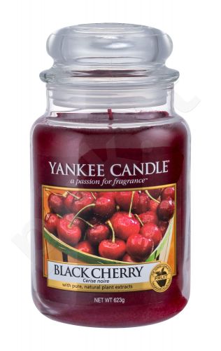 Yankee Candle Black Cherry, aromatizuota žvakė moterims ir vyrams, 623g