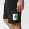 Šortai Adidas Essentials Box Logo M BK7464