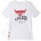 Marškinėliai Adidas Basics Tee Chicago Bulls Junior AH5083
