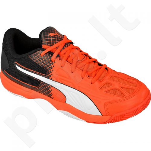 Sportiniai bateliai Puma evoSPEED Indoor 5.5 M 10366801 - Pirk.lt parduotuvė