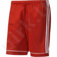 Šortai futbolininkams Adidas Squadra 17 M BJ9226