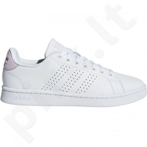canvas hi tops