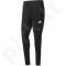 Sportinės kelnės Adidas Tiro 17 M BK0348