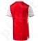 Marškinėliai futbolui Puma Arsenal Football Club Authetnic Home M 74970801