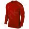 Marškinėliai futbolui Nike PARK VI LS  Junior 725970-657