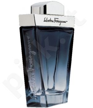 Salvatore Ferragamo Subtil Pour Homme, tualetinis vanduo vyrams, 100ml