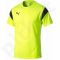 Marškinėliai futbolui Puma Football TRG M 65491557