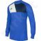 Marškinėliai vartininkams Adidas Assita 17 Junior AZ5399