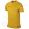 Marškinėliai futbolui Nike Park VI Junior 725984-739