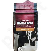 Kava pupelėmis Mauro 1121 Special Espresso 0.5kg