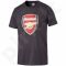 Marškinėliai Puma Arsenal Football Club Fan Tee M 749297121