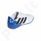 Futbolo bateliai Adidas  Nemeziz Messi Tango IN Jr DB2398