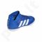 Futbolo bateliai Adidas  Nemeziz Tango 18.3 IN Jr DB2374