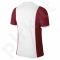 Marškinėliai futbolui Nike PARK DERBY Junior 588435-106