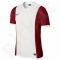 Marškinėliai futbolui Nike PARK DERBY Junior 588435-106