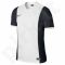 Marškinėliai futbolui Nike PARK DERBY Junior 588435-100