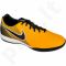 Futbolo bateliai  Nike MagistaX Onda II IC M 844413-801