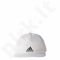 Kepurė  su snapeliu Adidas 6 Panel Classic Climacool Cap S97595